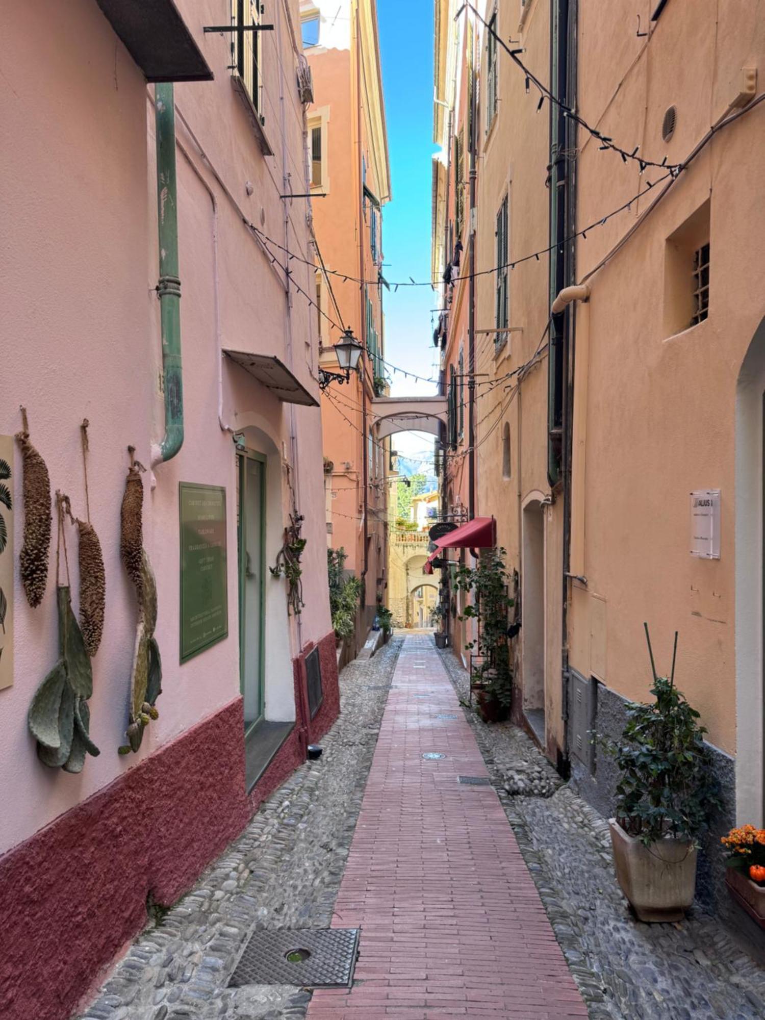 Bordiland 1 Apartment Bordighera Bagian luar foto